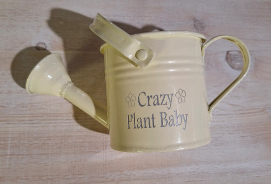 Mini Watering Can
